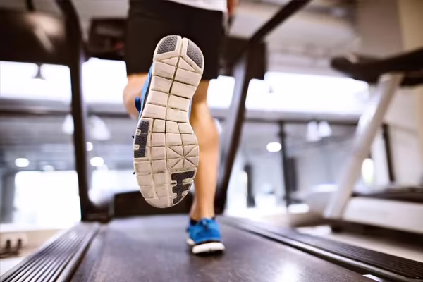 Cardio / Fitness Sala de cardio y fitness