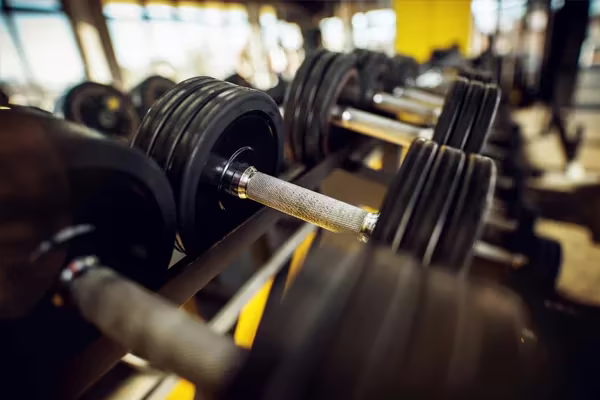 Musculación Sala de musculación